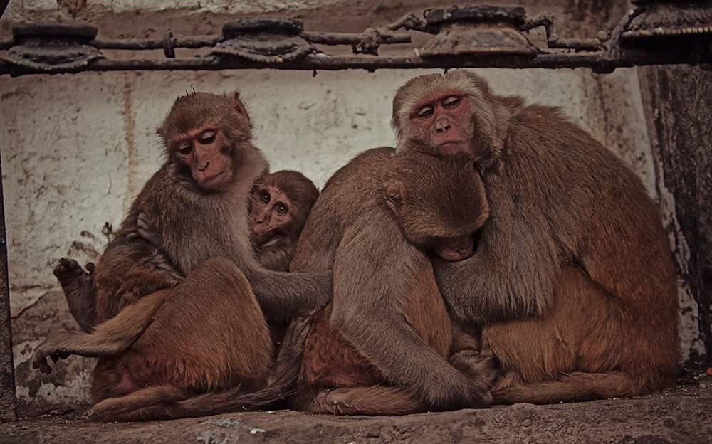 Ganga Paying Guest House Varanasi Luaran gambar